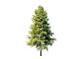 Ornamental scots pine 3d model preview