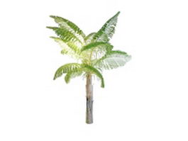 South America queen palm tree 3d model preview
