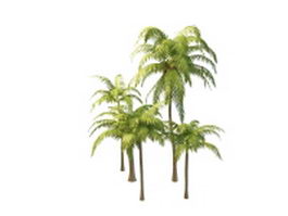 Various styles of coconut palm tree 3d model preview