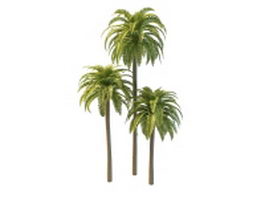 Phoenix date palm trees 3d model preview