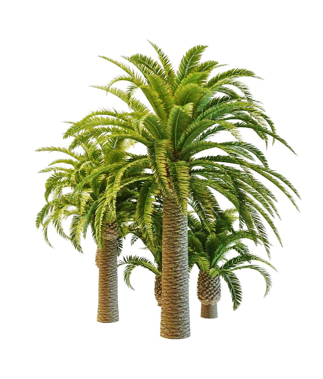 Varieties of pineapple palm trees 3d rendering