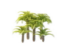 Varieties of cabbage palm 3d model preview