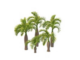 Varieties of bottle palm tree 3d model preview