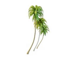 Tropical coconut trees 3d model preview