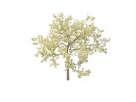 Spring apple tree blossoms 3d model preview