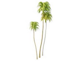 Tall coconut trees 3d model preview
