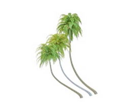 Inclined coconut palm trees 3d model preview