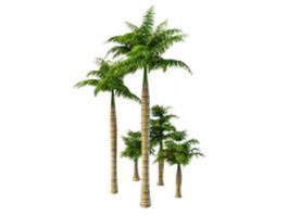 Varieties of royal palms 3d model preview