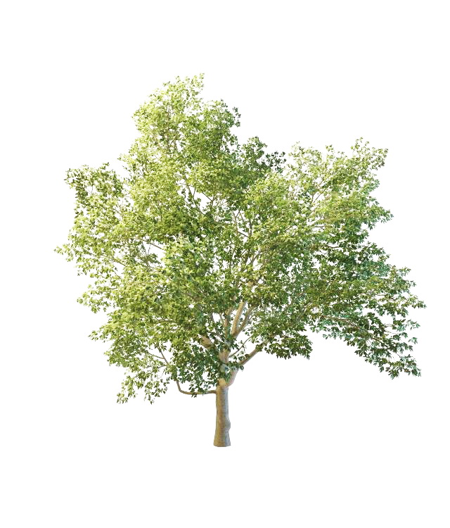 3ds max tree model