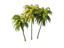 Tall coconut palm trees 3d model preview