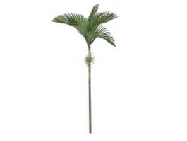 Bangalow palm tree 3d model preview