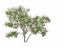 Pink perfume lilac bushes 3d model preview