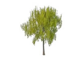 Spring willow tree 3d model preview