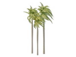 Ornamental royal palm trees 3d model preview