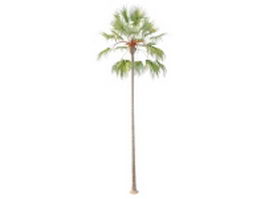 Blooming coconut tree 3d model preview