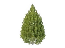 Topiary pine tree 3d model preview