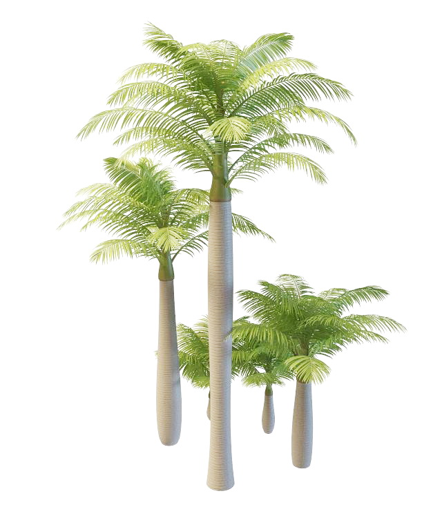 Alexandra palm trees 3d rendering