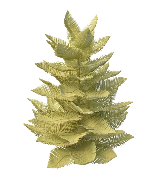 Ornamental palm plant 3d rendering