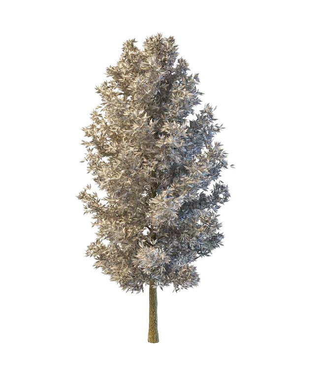 Artificial tree design 3d rendering