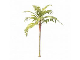 Tropical ornamental tree 3d model preview