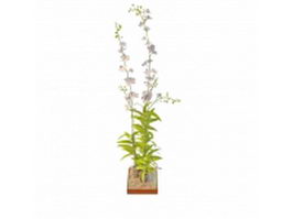 Ornamental flowering plants 3d model preview