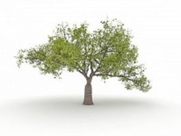 Old catalpa tree 3d model preview