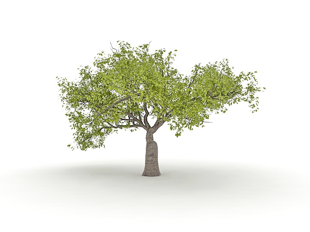 Old catalpa tree 3d rendering