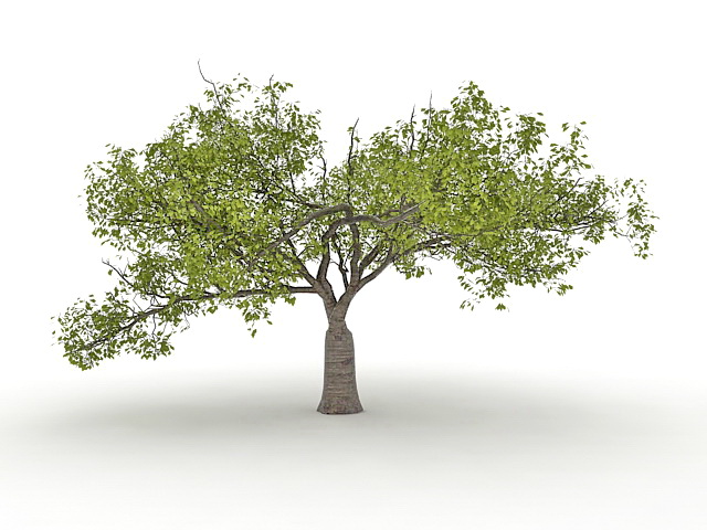 Old catalpa tree 3d rendering