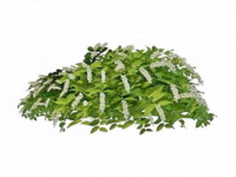 Flowering landscaping shrubs 3d model preview