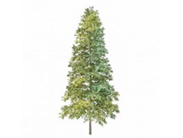 Norway Spruce Christmas tree 3d model preview