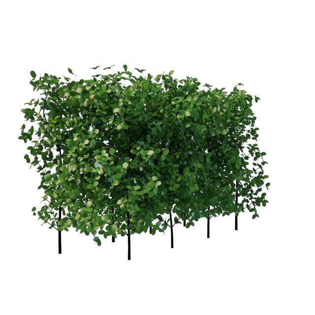 Landscaping hedges and bushes 3d rendering
