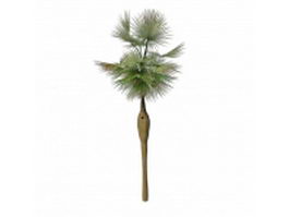 California fan palm tree 3d model preview