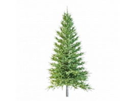 Real Christmas tree 3d model preview