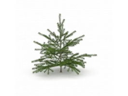 Canaan Fir Christmas tree 3d model preview