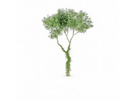 Irish oak tree 3d model preview