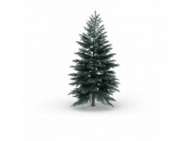Blue spruce tree 3d model preview