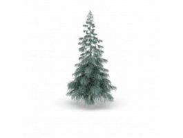Colorado spruce tree 3d model preview