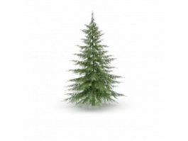 Cedrus brevifolia tree 3d model preview