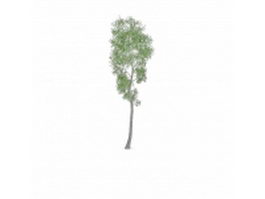 Alamo cottonwood tree 3d model preview