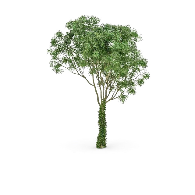 Welsh oak tree 3d rendering