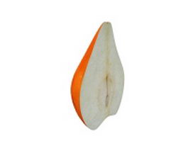 Half cut pear 3d model preview