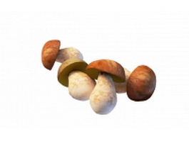 Boletus edulis 3d model preview