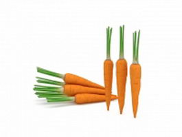 Some raw carrot 3d model preview