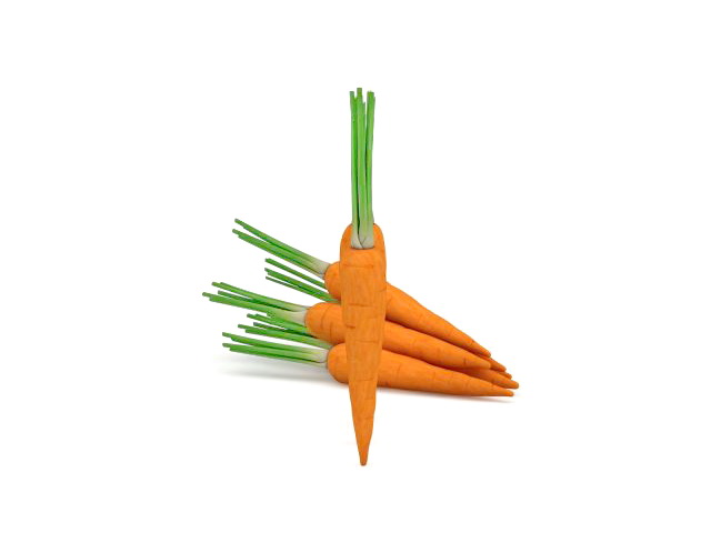 Some raw carrot 3d rendering