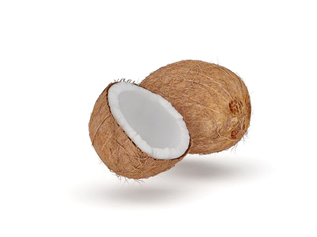 Cut open coconut 3d rendering