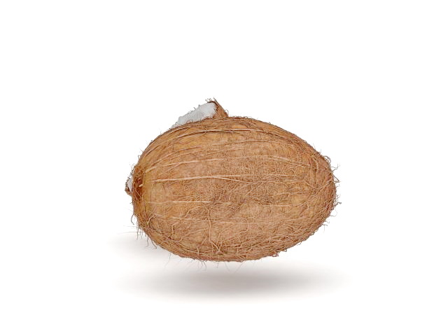 Cut open coconut 3d rendering