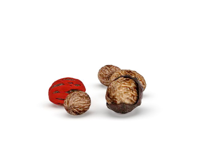 English walnut 3d rendering