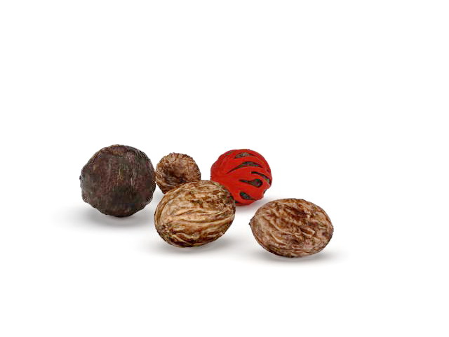 English walnut 3d rendering