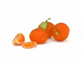 Mandarin orange fruit 3d model preview
