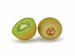 Fuzzy kiwifruit and cross section 3d model preview